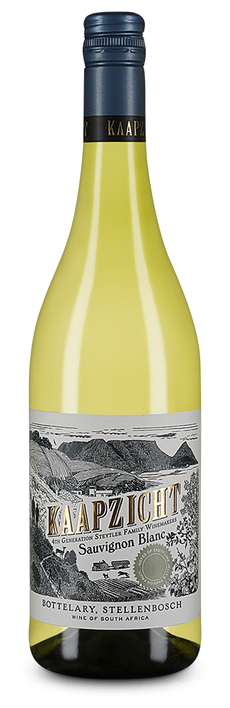 Sauvignon Blanc 2025 – persönliche Empfehlung