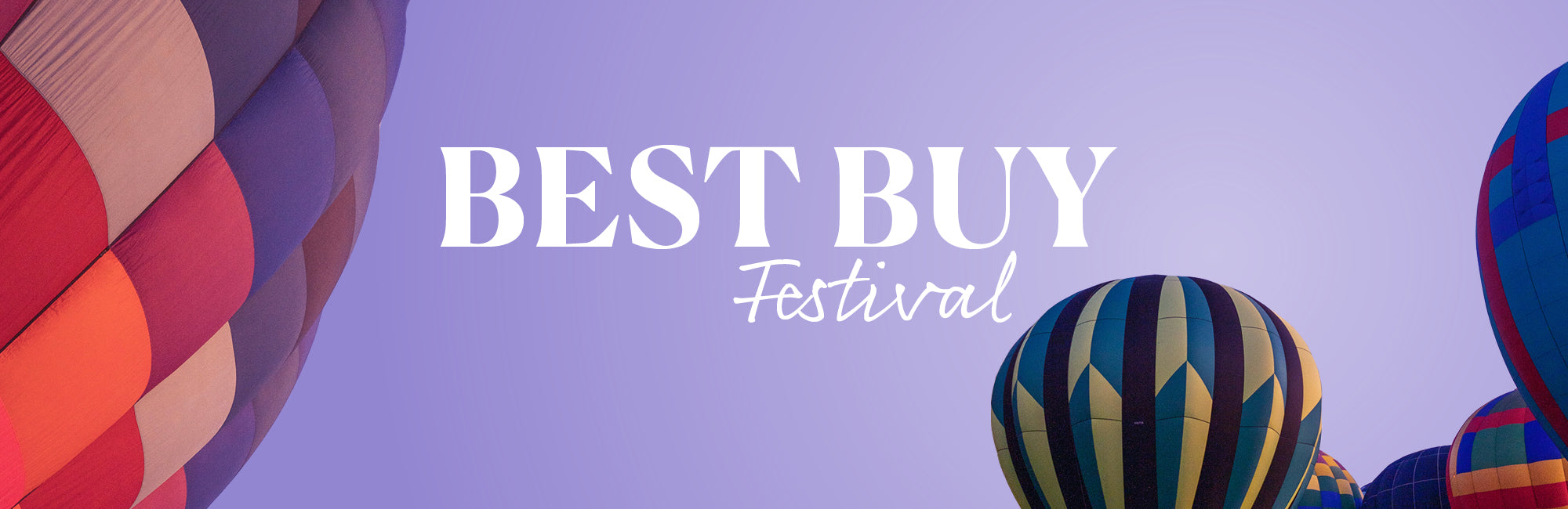 Best Buy Festival