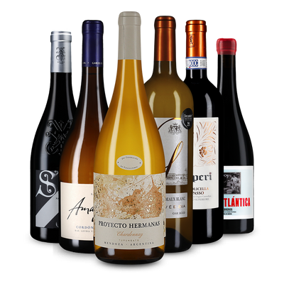 Wine in Black 94+Punkte-Paket