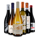 Wine in Black 94+Punkte-Paket