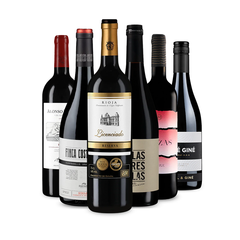 Wine in Black Outstanding Spanien Best Buy-Set