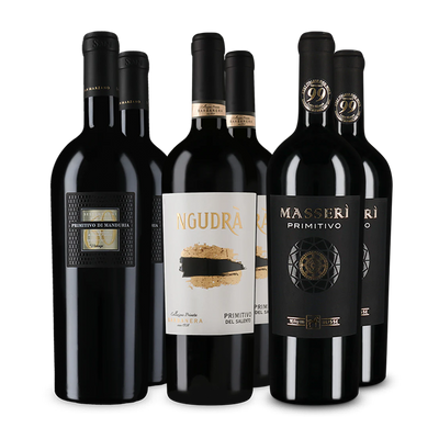 Wine in Black Premium-Primitivo-Paket
