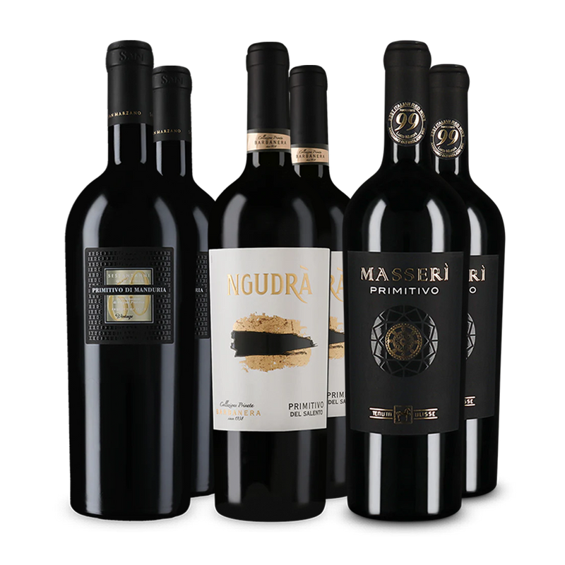 Wine in Black Premium-Primitivo-Paket
