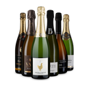 6x1 Wine in Black Schaumwein Set
