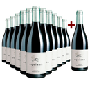 11+1 Flaschen Bodegas Merayo Aquiana 2017
