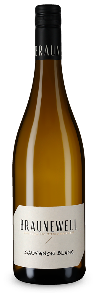 Sauvignon Blanc aus dem Selztal trocken 2022