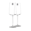 Vivid Senses Sekt- und Schaumweinglas 2er Set