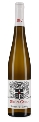 Neustadt V Riesling trocken 2022