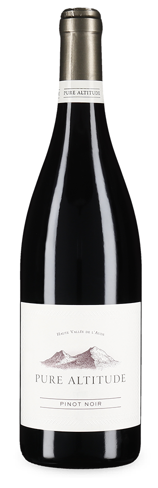 Pinot Noir Haute Vallée de l'Aude 2023