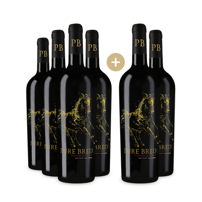 4+2 Flaschen Cabernet Sauvignon North Coast 2022