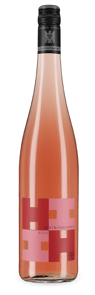 Rosé trocken 2024