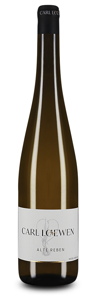 Alte Reben Riesling trocken 2024