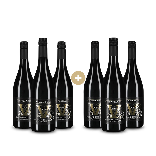 3+3 Flaschen AppassAussi Vine Dried Shiraz 2021