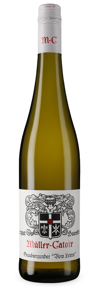 Grauburgunder vom Letten trocken 2024