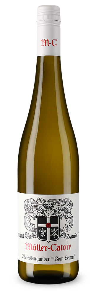 Weißburgunder vom Letten trocken 2024