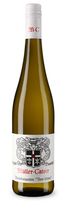 Weißburgunder vom Letten trocken 2024