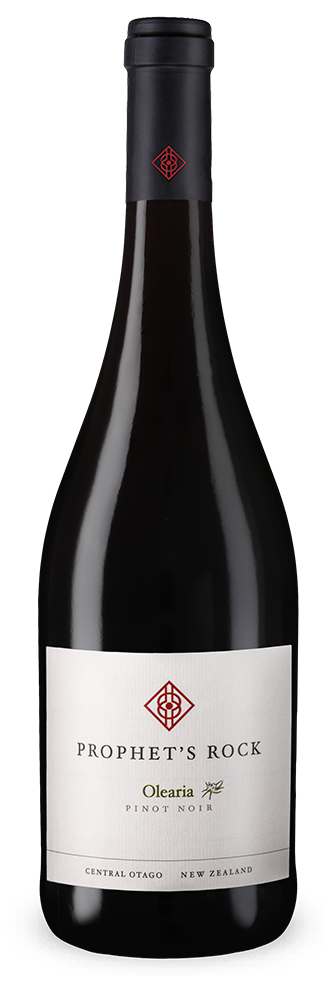 Olearia Pinot Noir 2023