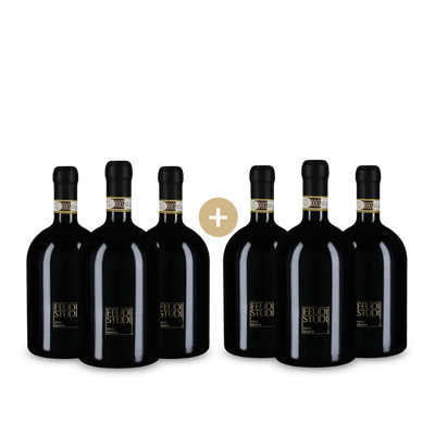 3+3 Flaschen Feudi Studi Fievo Taurasi 2018