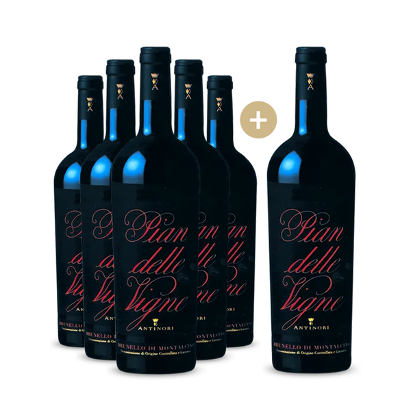5+1 Antinori Pian delle Vigne Brunello di Montalcino 2019