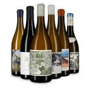 6x1 Wine in Black Kap der guten Weine - Südafrika Entdeckungen