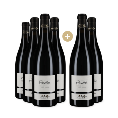 4+2 Flaschen Corullon 2021