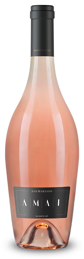 Amai Susumaniello Rose 2025