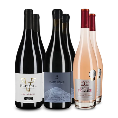 Platin + 97 Decanter-Punkte: 3x2 Gewinnerweine im Set