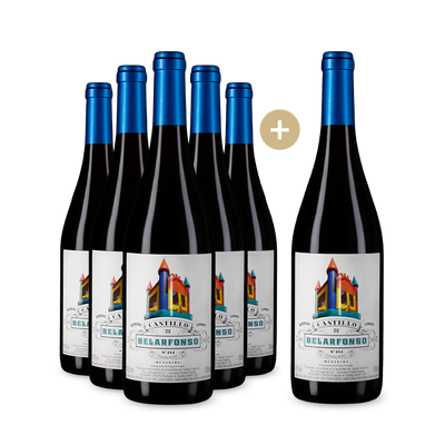 5+1 Flaschen Castillo de Belarfonso 2021