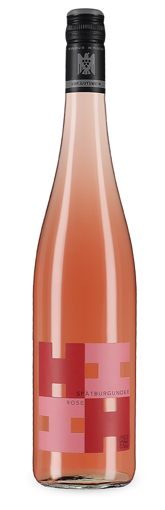 Rosé trocken 2025