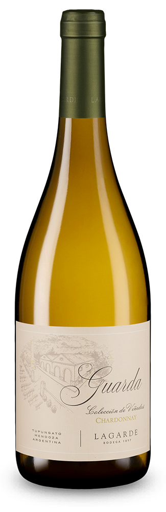 Chardonnay Guarda Colección de Viñedos Valle de Uco 2025
