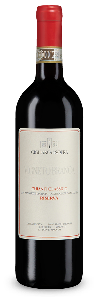 Chianti Classico Riserva Vigneto Branca 2023
