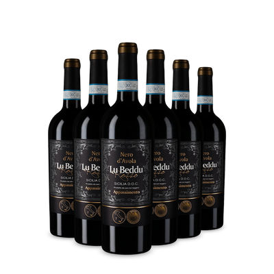 6x Nero d’Avola Sicilia Appassimento 2023