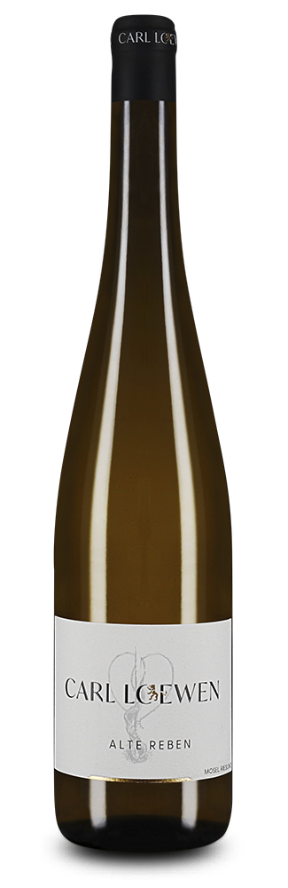 Alte Reben Riesling trocken 2025