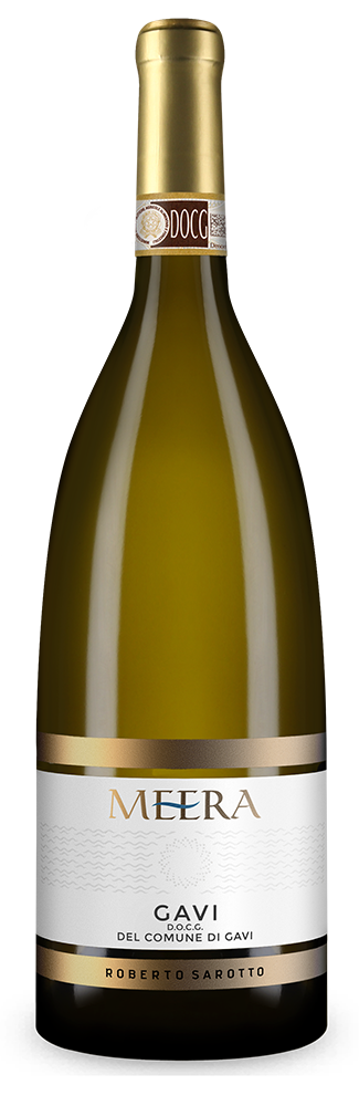 Gavi di Gavi Meera 2024
