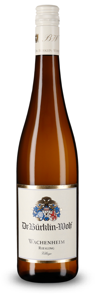 Wachenheim Village Riesling VDP.Ortswein trocken 2025